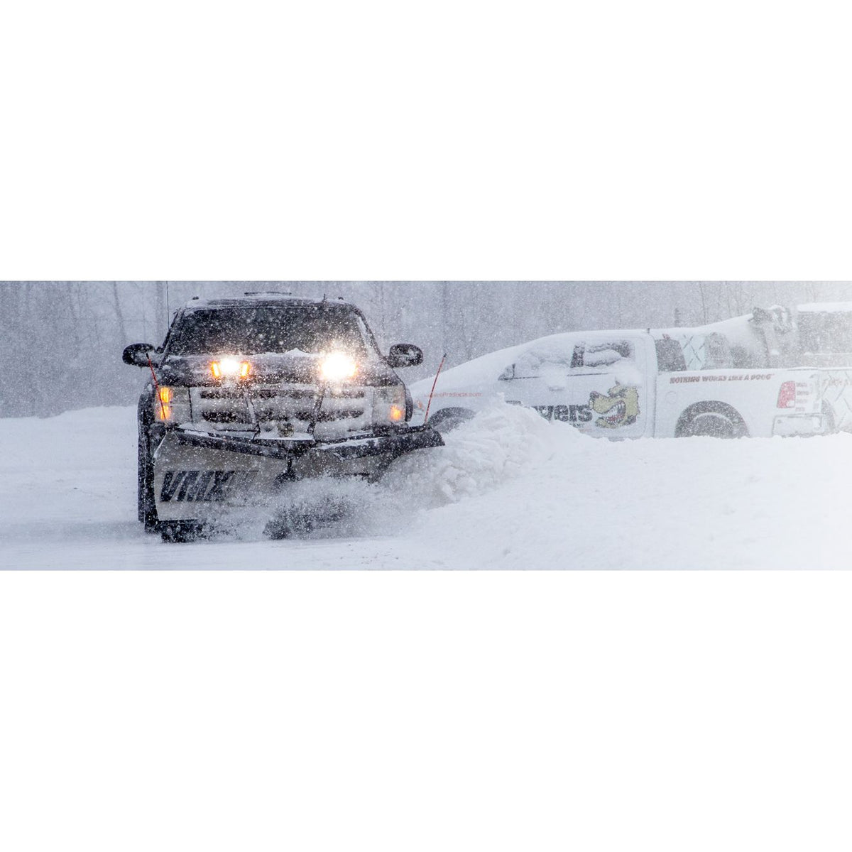 Snowdogg VMXII