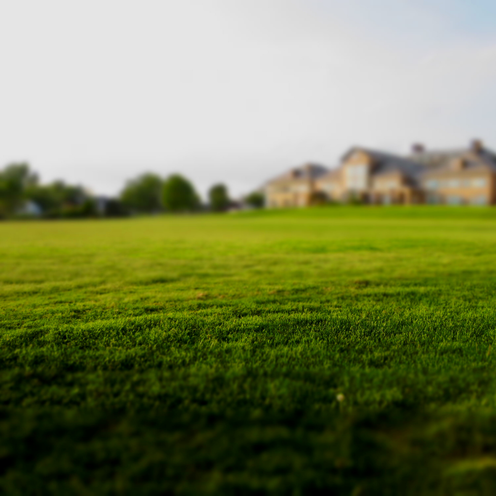 Lawn Signs & Stakes