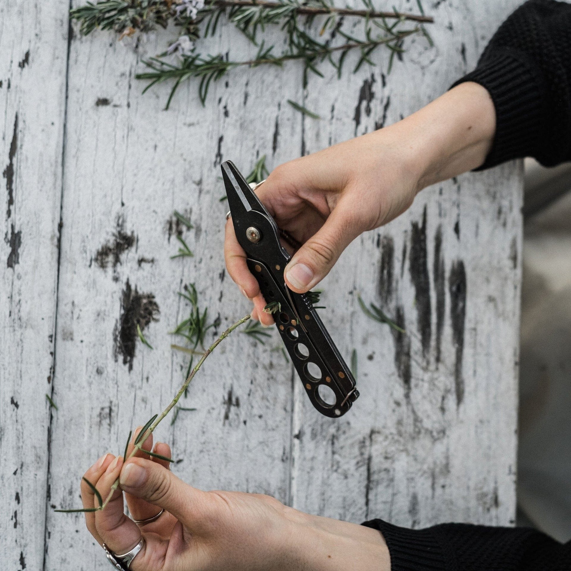 Herb Harvest & Strip Tool