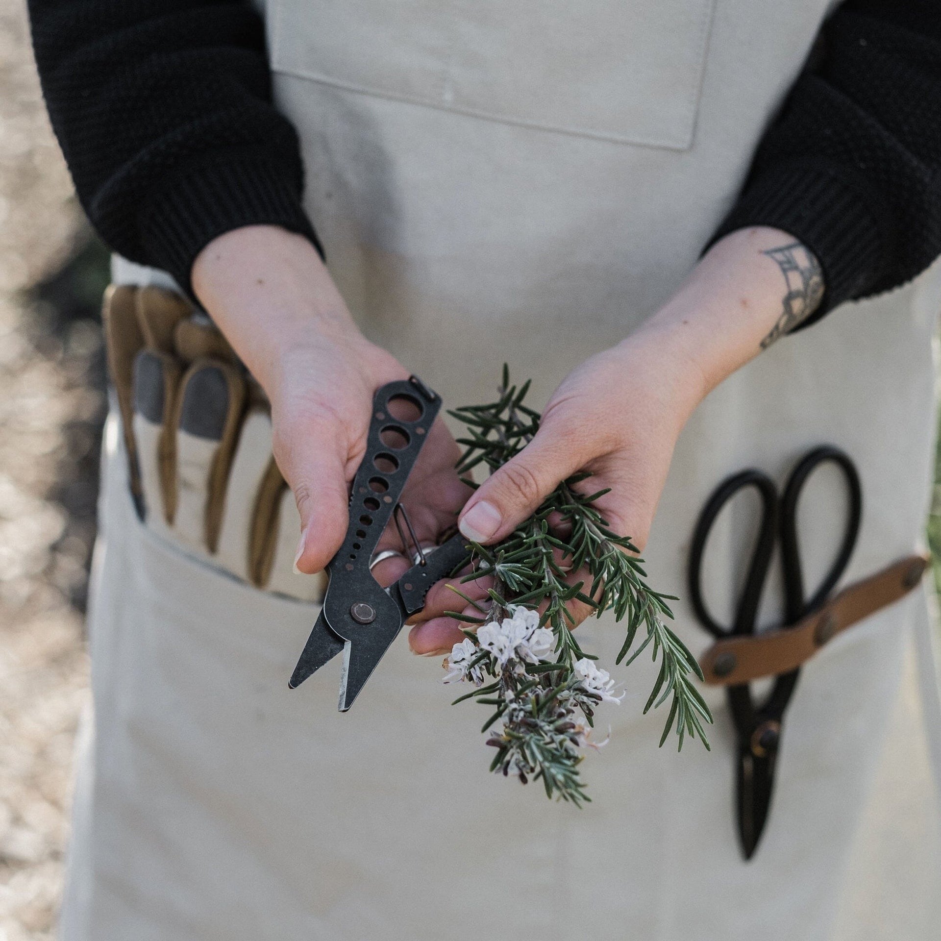 Herb Harvest & Strip Tool