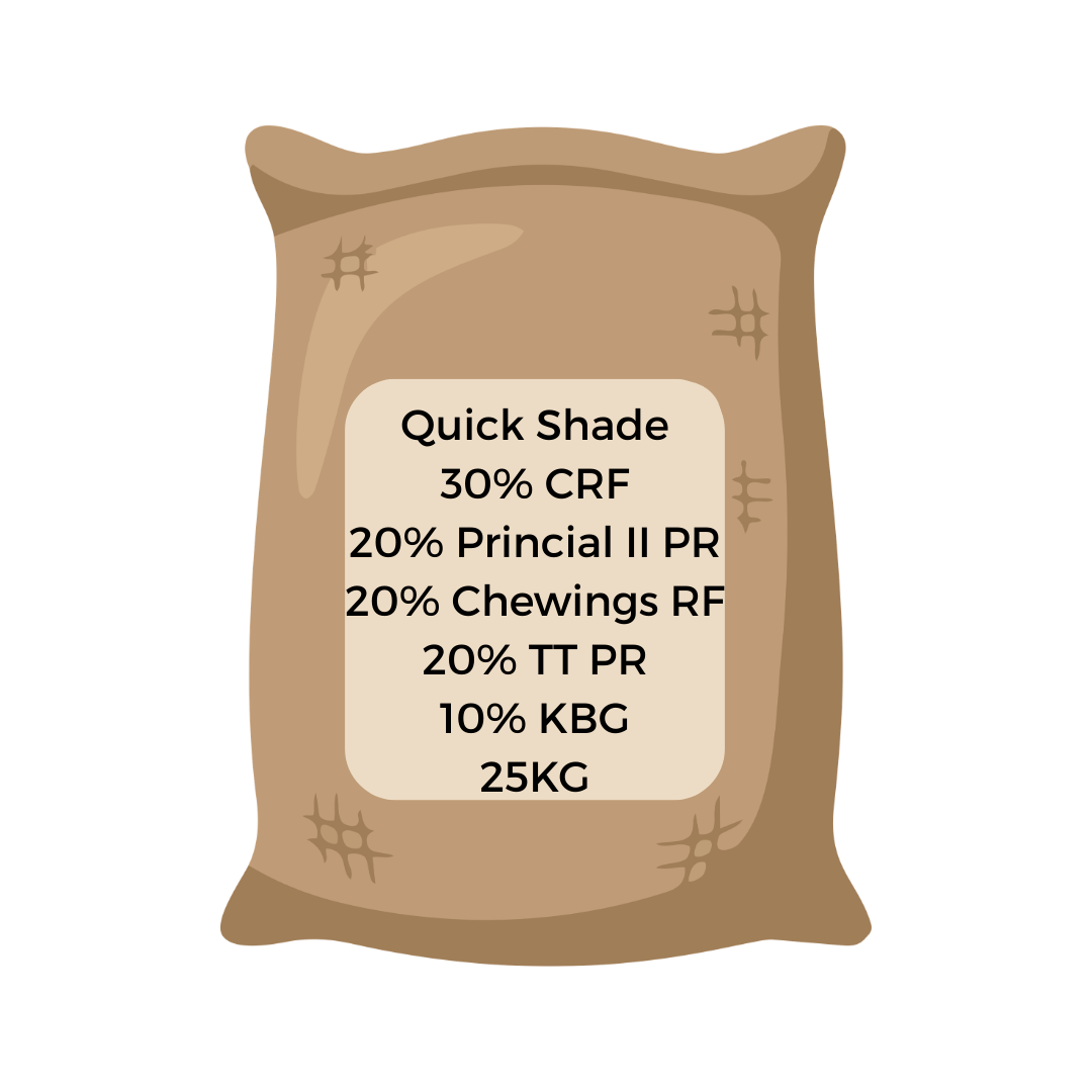 Quick Shade Grass Seed 25KG