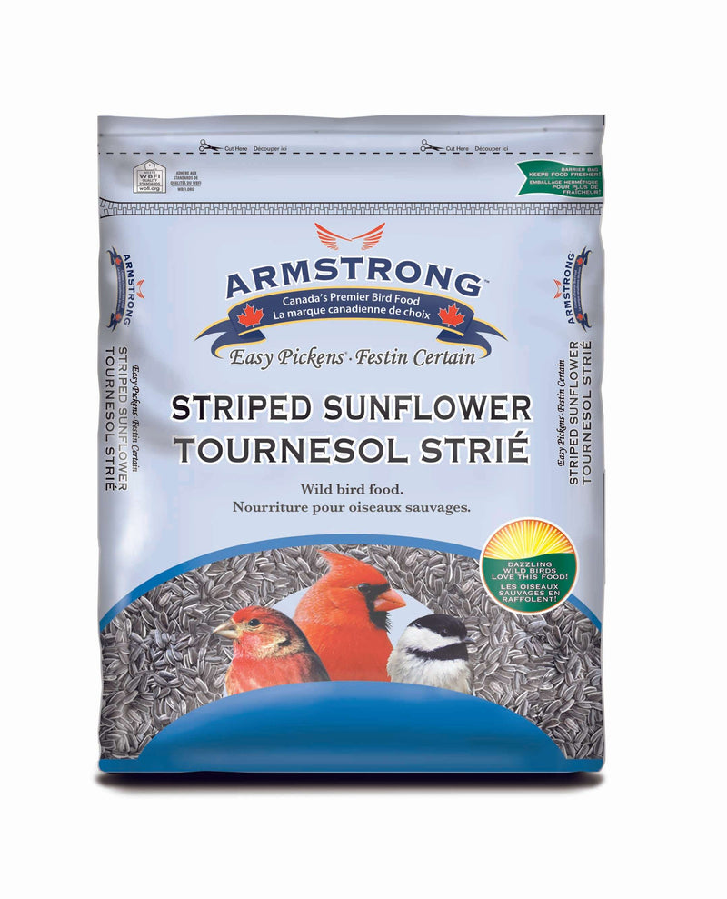 Buy bird sales seed online